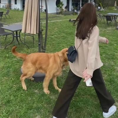 红头发的阿里比