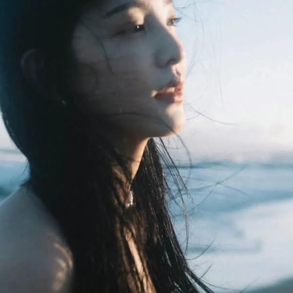 春归 封面